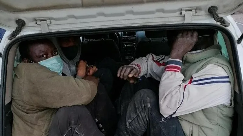 Venti arresti per sfruttamento di braccianti nella Piana di Sibari: al centro la ‘ndrangheta