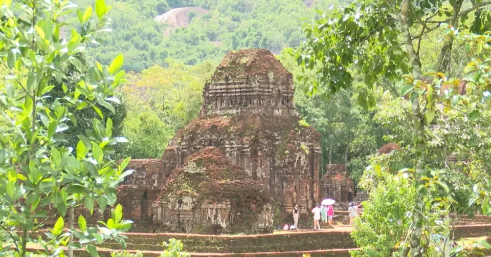 My Son Heritage Site Partners with WWF‑Vietnam to Restore Surrounding Forests and Safeguard Cultural Legacy
