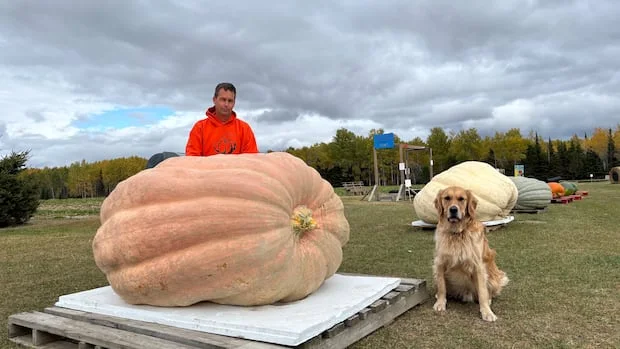 Ontario Farmer’s Record-Breaking Pumpkin Disqualified at Giant Gourd Competition