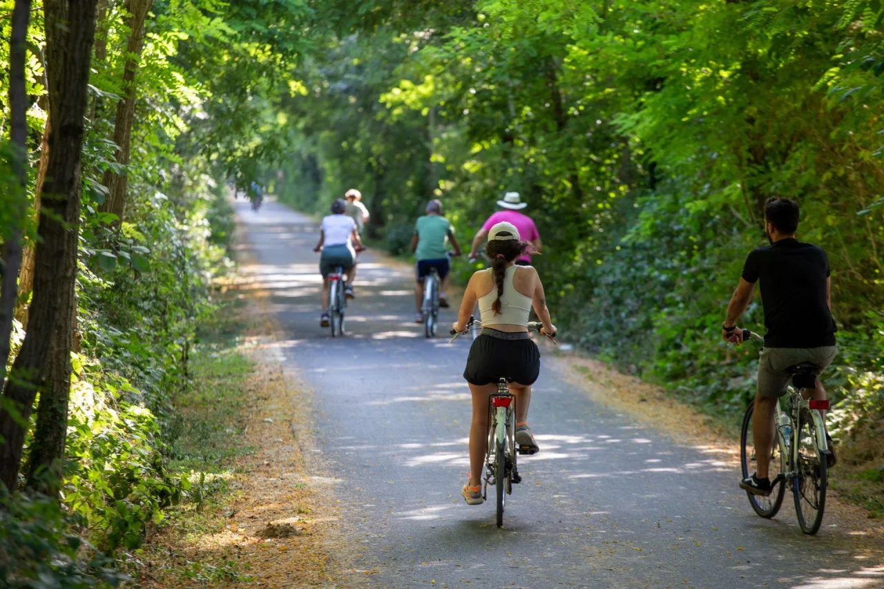 Il ciclista lento invade Ferrara: torna la decima edizione del festival