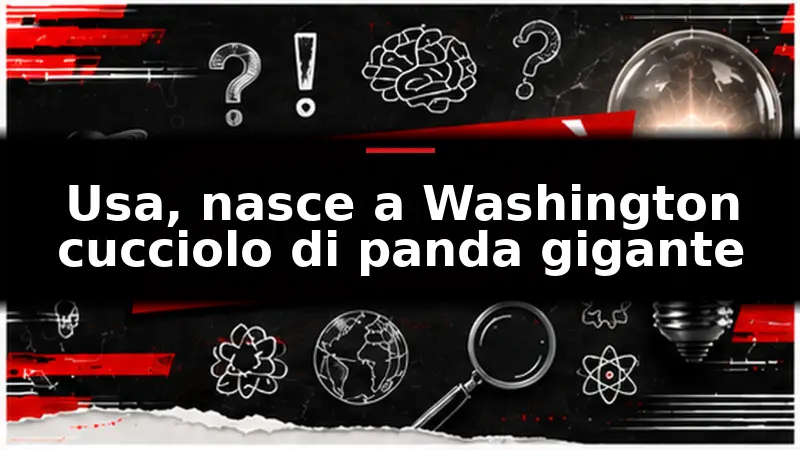 Usa, nasce a Washington cucciolo di panda gigante